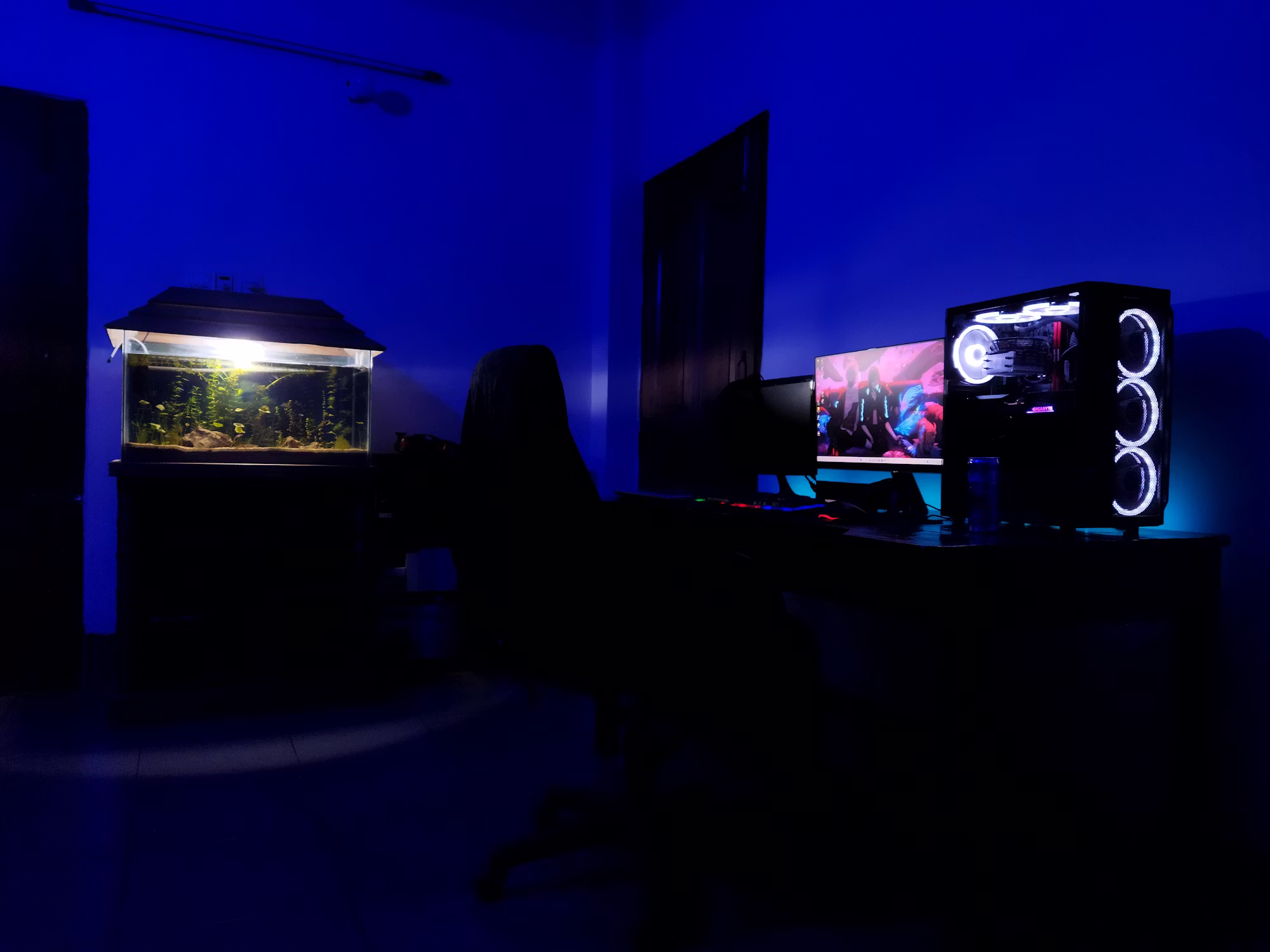 Exploring the Evolution of Indie Games in the Digital Age